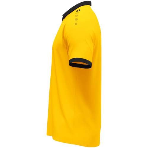 4251337 Trikot Glory KA P02