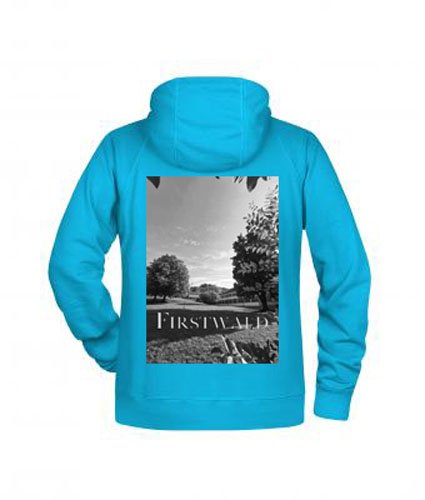 8024-turquoise_fwgym Firstwald Hoody back