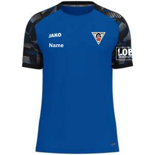 Shirt Inklusive TSV Geislingen / Vereinswappen / Spielername / Sponsor