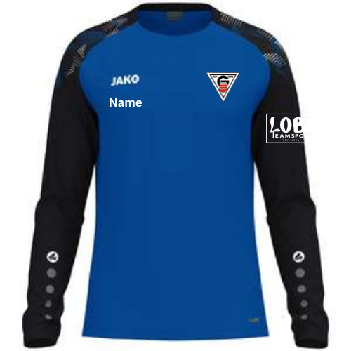 Langarm Shirt Inklusive TSV Geislingen / Vereinswappen / Spielername / Sponsor